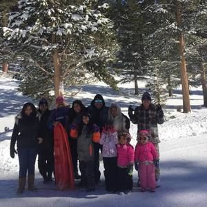 Meet your Posher, Ampelia